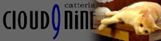 catteria cloud nine　キャッテリア　クラウドナイン